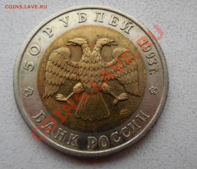 50 руб. Гималайский медведь  1993 г. до 05.12.13 22:00 МСК - DSCN0192.JPG