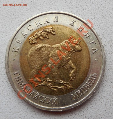 50 руб. Гималайский медведь  1993 г. до 05.12.13 22:00 МСК - DSCN0190.JPG