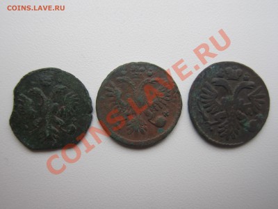 Деньги и полушка перечекан - IMG_9277[1].JPG