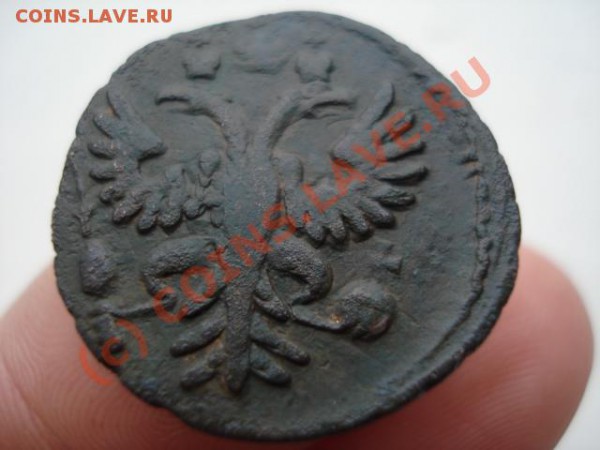 полушка 1730? - 903803354_2