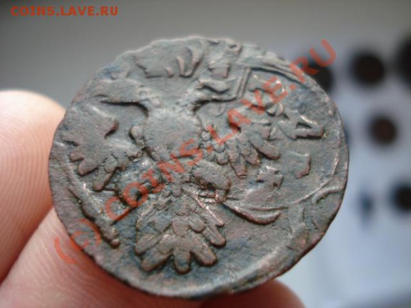 Денга 1741 г. - 903803689