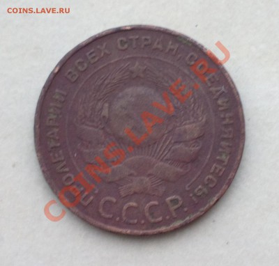 5к24 средней паршивости-до 6 12 22 22 м - 017_cr