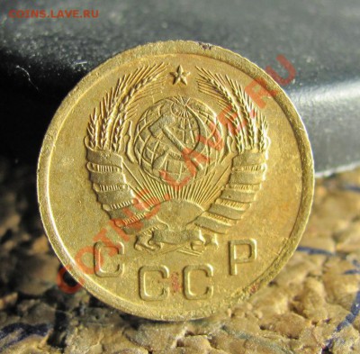 разновидности - IMG_3499.JPG