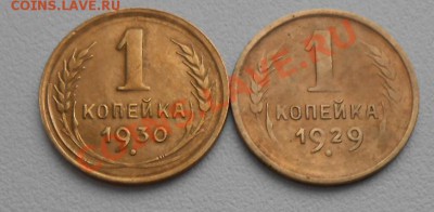 1 копейка 1929 год и 1копейка 1930 год - DSCN2262_cr