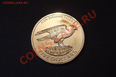 НЗ 5 долларов 2006Новозеландский Сокол - DSCF9448.JPG