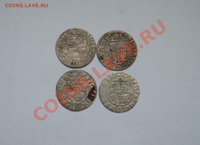 Серебряные полтораки Сигизмунда 3. Погодовка. 07.12.13 в 22 - DSC_6464.JPG