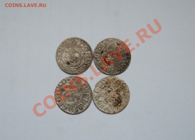 Серебряные полтораки Сигизмунда 3. Погодовка. 07.12.13 в 22 - DSC_6463.JPG