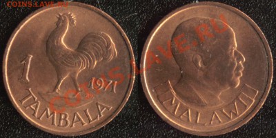 Малави 1 тамбала 1971 "Петух" до 09.12.13 - Малави 1 тамбала 1971 (50)