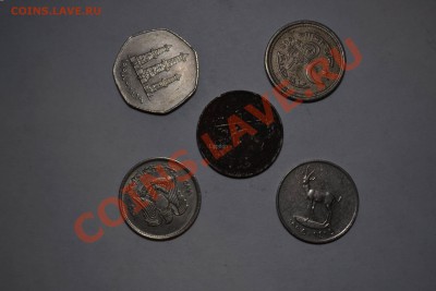 Много всякой иностранщины на оценку - DSC_9828.JPG