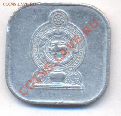 Цейлон (Шриланка) 5 центов 1978 г.  06.12.13 г. 22-00 МСК . - Цейлон 5 ц 1978 1