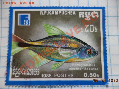 Марки 13 штук. - DSC01076.JPG
