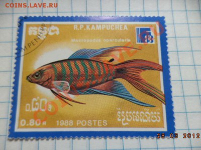 Марки 13 штук. - DSC01084.JPG