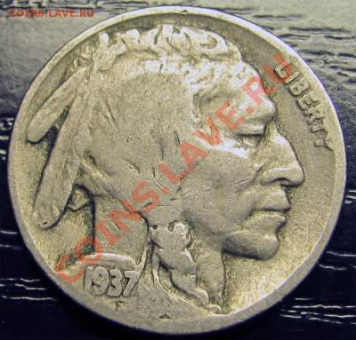 Z08 США 5¢ Buffalo Nickel 1937 до 10.12 в 22°° - Z08 5c 1937_1