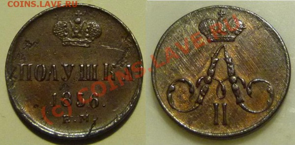 полушка 1856 ЕМ. Ставить на аук? - polushka1856EM