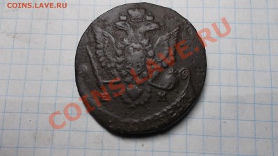 5к1779гЕМ. - DSCF9176.JPG