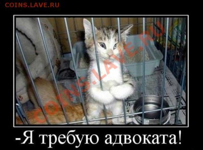 Любите ли вы кошек? - image
