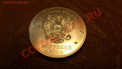 25 Руб Сочи горы До 10-12-13 22-00 - DSC_0149