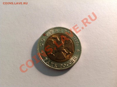 Джейран 1994г до 10.12.2013 в 22-00 - image