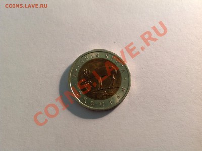 Джейран 1994г до 10.12.2013 в 22-00 - image