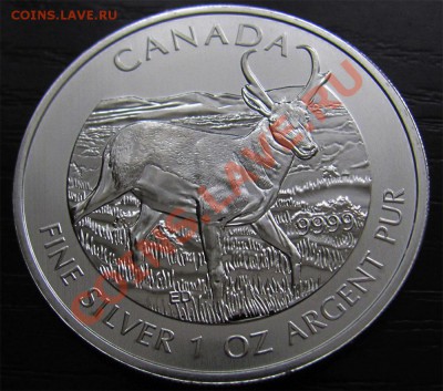 Z14 Ag 1oz Канада $5 2013 Антилопа до 13.12 в 22°° - Z14 5$ Canada 2013_2