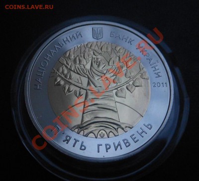 5гривен 2011г Биметалл(Год лесров)! До 13.12.2013г! - DSCN4580