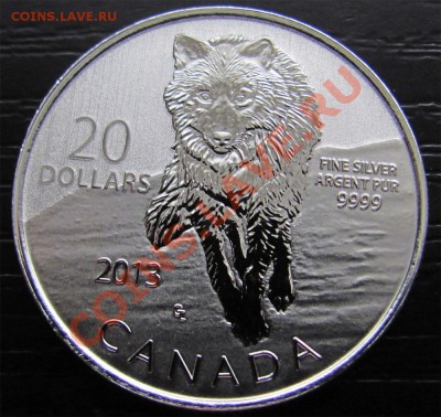 Z25 Ag .9999 Канада $20 2013 Волк до 14.12 в 22°° - Z25 20$ Wolf_1
