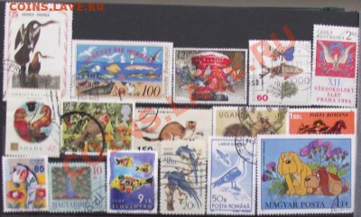 Марки мира,животные-108шт до 10.12 в 21.00мск - 4а.JPG