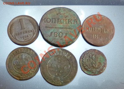 Медь разная 177? -1876 + совет бонусом - P1010318.JPG
