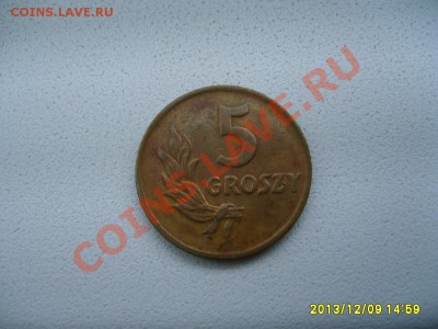 ПОЛЬША,5 ГРОШЕЙ 1923г(бронза)!до 10.12.2013 - S6000980.JPG