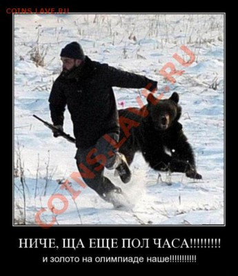 В лесу встретили медведя? - 00A09402D019_195.68.160.20_10.250.116.250_000948