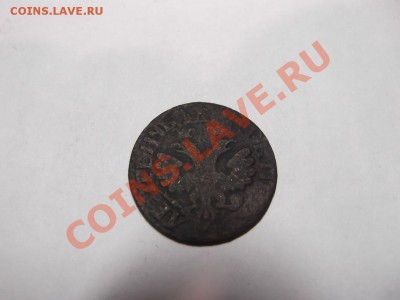 Деньга 1704 года на оценку - DSCF1372_thumb