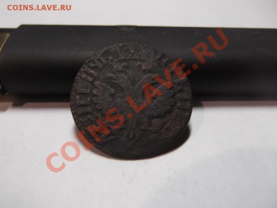 Деньга 1704 года на оценку - DSCF1374_thumb