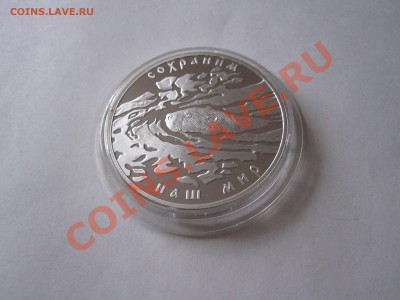 3 рубля Речной бобр 2008 15.12 22:00 - IMG_3537.JPG