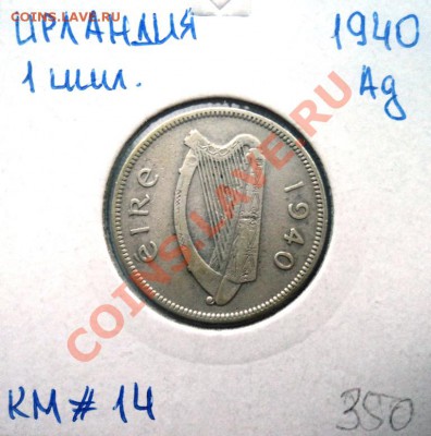 раздел на переоформлении - DSC01415.JPG