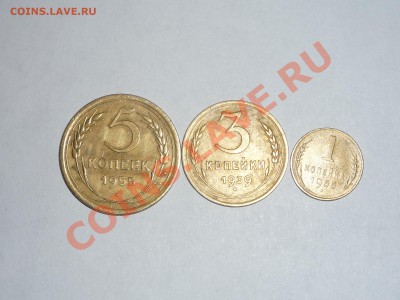 ссср - P1090065.JPG