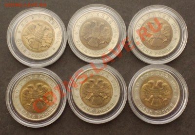 КУПЛЮ Шпицберген 1993 , КК - 010_cr