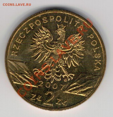 Польша 2 злотых 2007 Серый тюлень до 16.12 в 22.00мск (М) - 4м-пол07а
