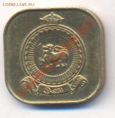Цейлон 5 центов 1971 г.  13.12.13 г. 22-00 МСК . - Цейлон 5 ц 1971 1