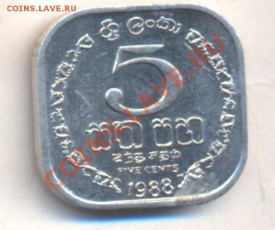 Цейлон 5 центов 1988 г. 13.12.13 г. 22-00 МСК . - Цейлон 5 ц 1988