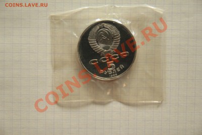 КОРОТКИЙ 5Р. СОФИЙСКИЙ СОБОР КИЕВ 12.12.13 22.00 ЗАПАЙКА - IMG_8242.JPG