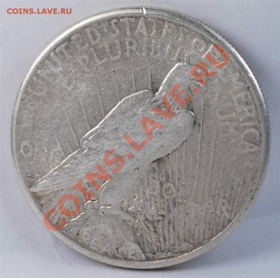 Dollar 1922 Оценка состояния и цены - 1.JPG