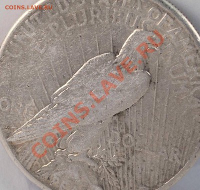 Dollar 1922 Оценка состояния и цены - 3.JPG