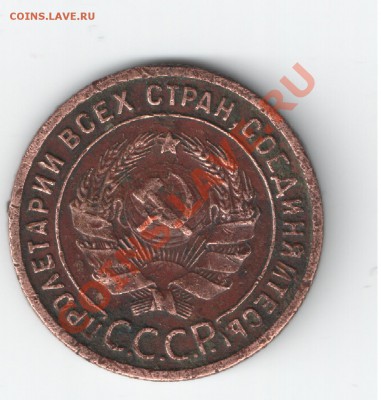 1 копейка 1925 г. - 1 коп-2