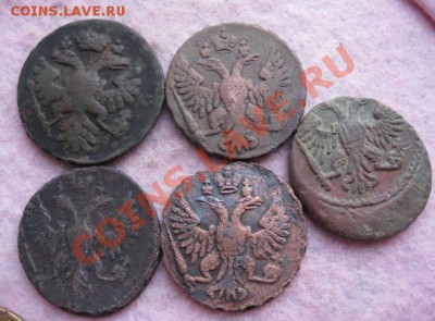Деньги 1737,48,49,50г.5 шт.до16.12.13. - Изображение 5519