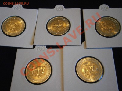 alibaba - обман покупателя. - P1240050.JPG