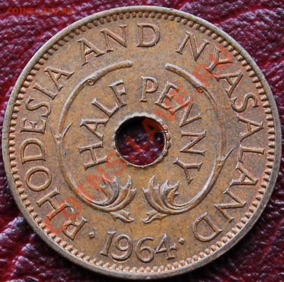 2 пенни 1964 - Жирафы -до 20 декабря - 022