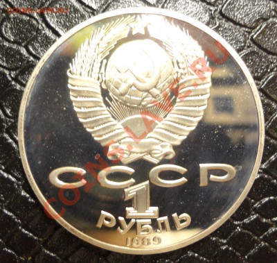 Шевченко пруф - DSC01890