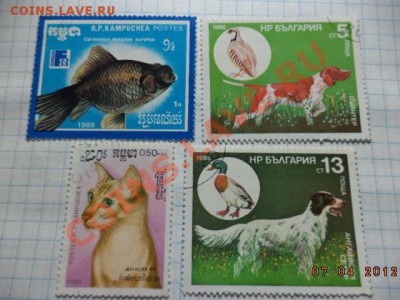 Марки разные 91шт. - DSC01147.JPG