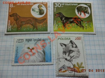 Марки разные 91шт. - DSC01149.JPG