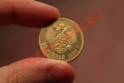 10 рублей 1886-Подделка! Вес рядом! до 19.12.13-22-00 - IMG_2752.JPG